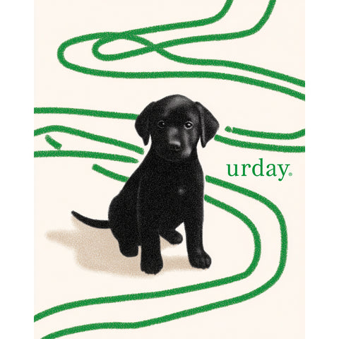 予約：urday【dog】アートワークスウェットプルパーカ（u-a-spk-0001-08）ブラック